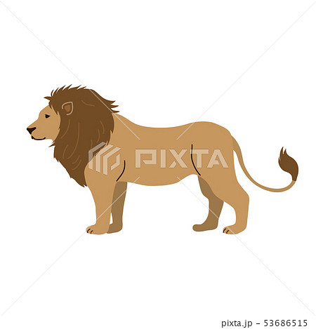 ライオン 百獣の王 動物 哺乳類のイラスト素材