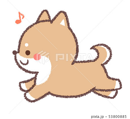 犬 柴犬 走る 音符のイラスト素材