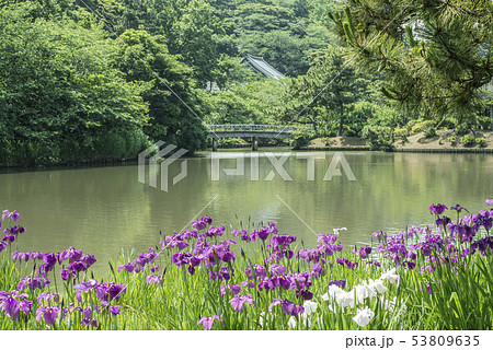原善三郎の写真素材