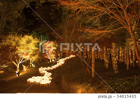 竹あかり ライトアップ 滝 佐賀の写真素材