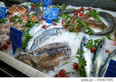 市場 魚市場 海老 ヨーロッパの写真素材