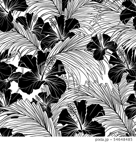 椰子 ハイビスカス イラスト 白黒のイラスト素材