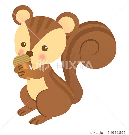 リス げっ歯類 シマリス 動物のイラスト素材