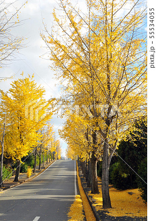 名古山の写真素材