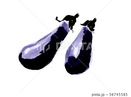 ナス なすび 白背景 墨絵のイラスト素材