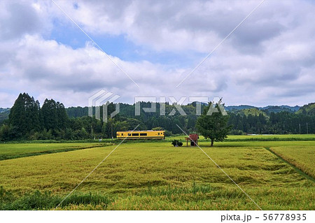 田んぼの祠の写真素材