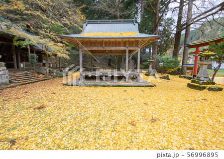 岩戸落葉神社の写真素材