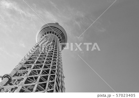 東京 スカイツリー モノクロの写真素材