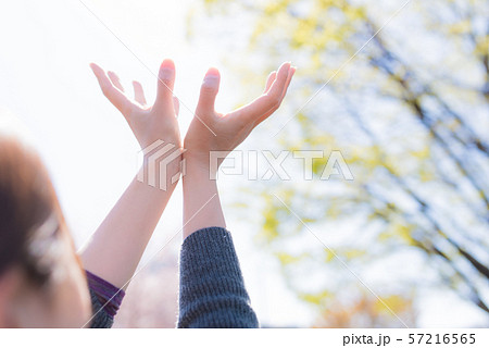 人物 女性 後ろ姿 ヨガの写真素材