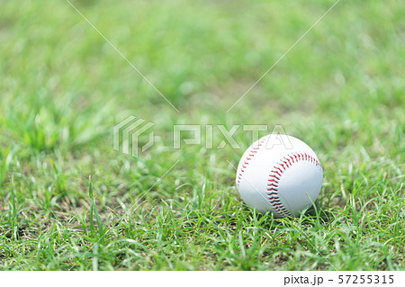 野球ボールの写真素材集 ピクスタ