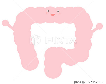 大腸のイラスト素材