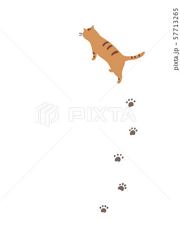 猫の足跡のイラスト素材