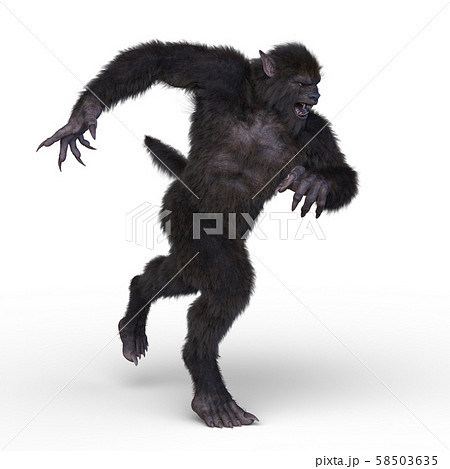 Gorilla Pngs