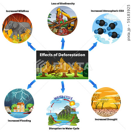 森林破壊のイラスト素材
