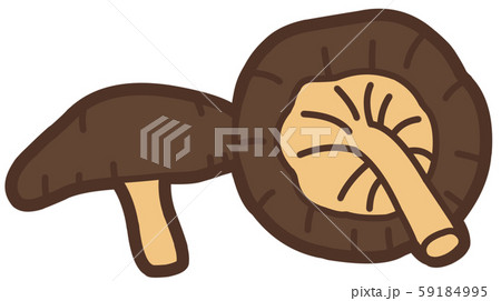 干ししいたけのイラスト素材