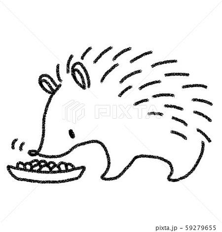 ピグミーハリネズミのイラスト素材 Pixta