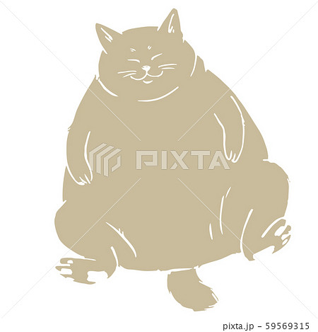 Fat Cat Illustrations