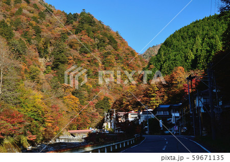 もみじ 風景 紅葉 梅ヶ島温泉の写真素材