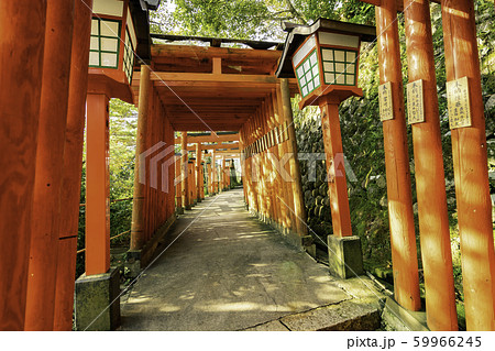 宇迦之御魂神の写真素材 - PIXTA 宇迦之御魂神の写真素材 - PIXTA