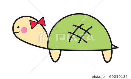 ゼニガメのイラスト素材