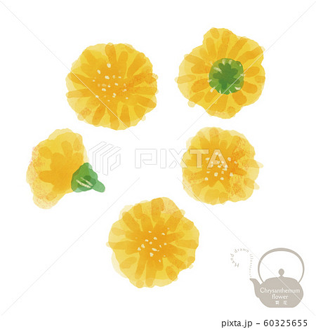 医食同源の写真素材