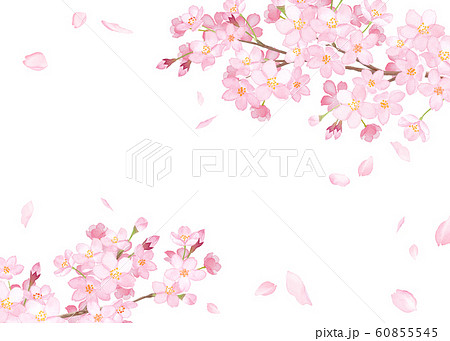 散る 桜吹雪 舞い散る 花のイラスト素材