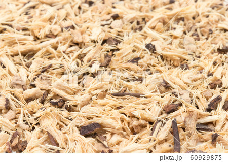 マニオクの写真素材