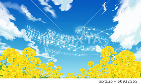 野の花のイラスト素材
