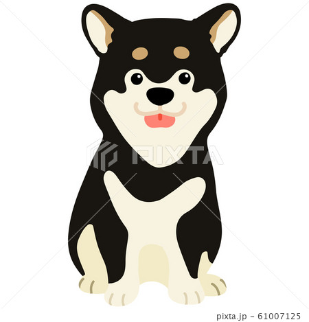 柴犬 犬 日本犬 黒柴のイラスト素材 - PIXTA