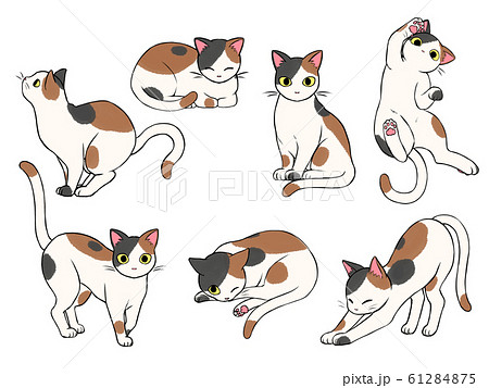 最新のHD 三毛猫 可愛い イラスト - 最高のアニメギャラリー