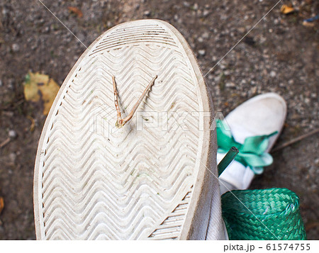 刺さった トゲの写真素材