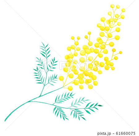 Vernal Flowers Illustrations