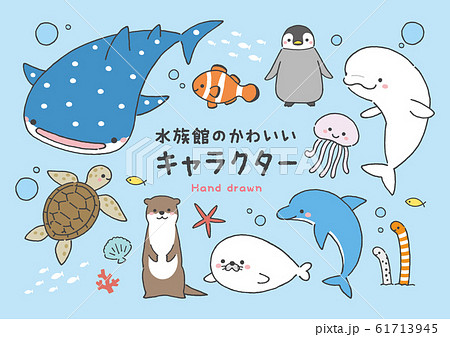 海の動物のイラスト素材集 ピクスタ