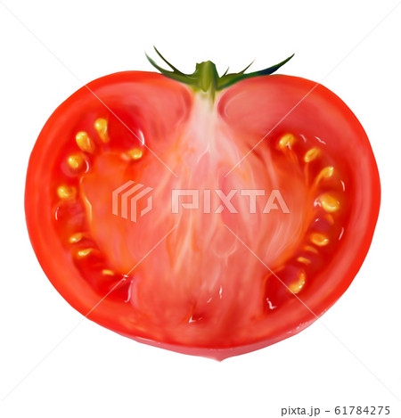 トマト 野菜 断面 カットのイラスト素材