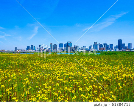 河川敷の写真素材