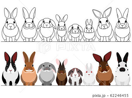 うさぎ 動物 ウサギ リアルのイラスト素材 Pixta