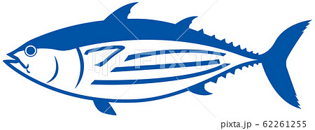カツオ 鰹 のイラスト素材集 ピクスタ