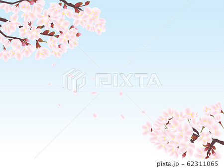 ４月 四月 春 花 桜 満開 植物のイラスト素材