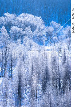 北海道 霧氷とダイヤモンドダスト 冬の美瑛の写真素材