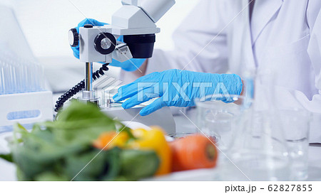 食品と科学