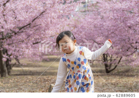 幼稚園児 野外 遊ぶ 夢の写真素材 Pixta