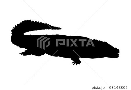 ワニのイラスト素材集 Pixta ピクスタ