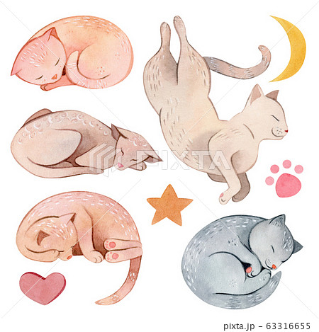 寝てる 猫のイラスト素材