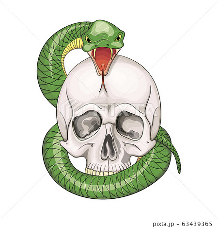 ヘビ 蛇 毒ヘビ 骸骨のイラスト素材