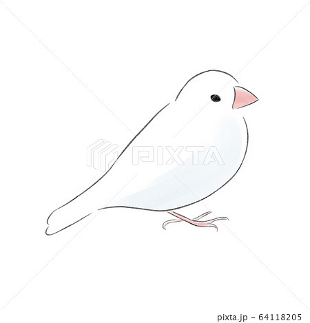 文鳥のイラスト素材集 ピクスタ