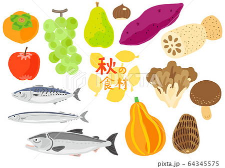 秋鮭のイラスト素材