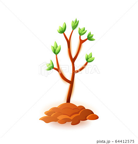 植物 発芽 芽生え 成長のイラスト素材