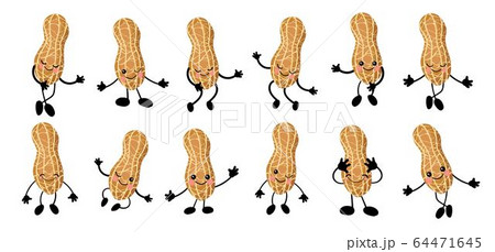 落花生 キャラクター ピーナッツ イラストのイラスト素材