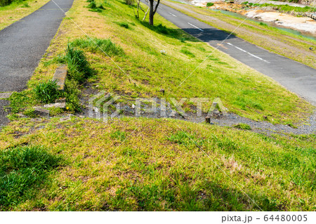 道路盛土の写真素材