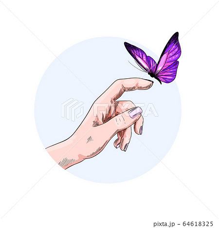 指 蝶 チョウ 手のイラスト素材